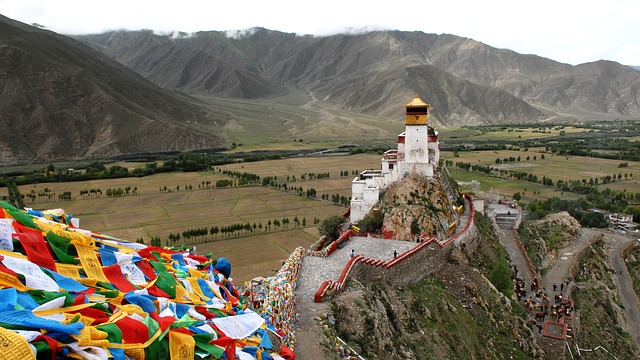 Tibet Qingke Jiu